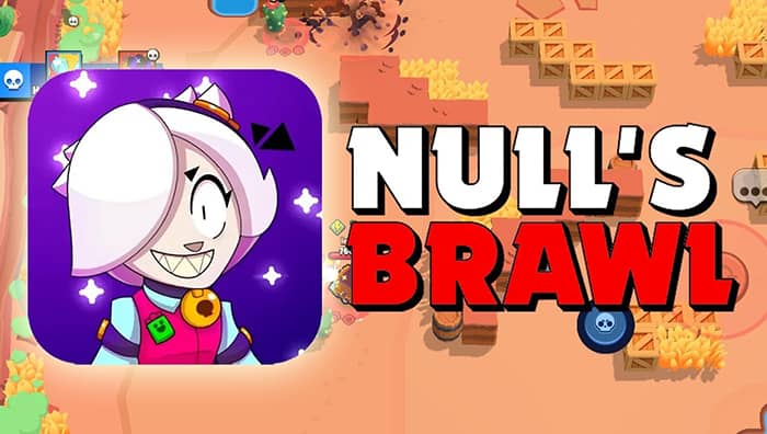 Nulls Brawl